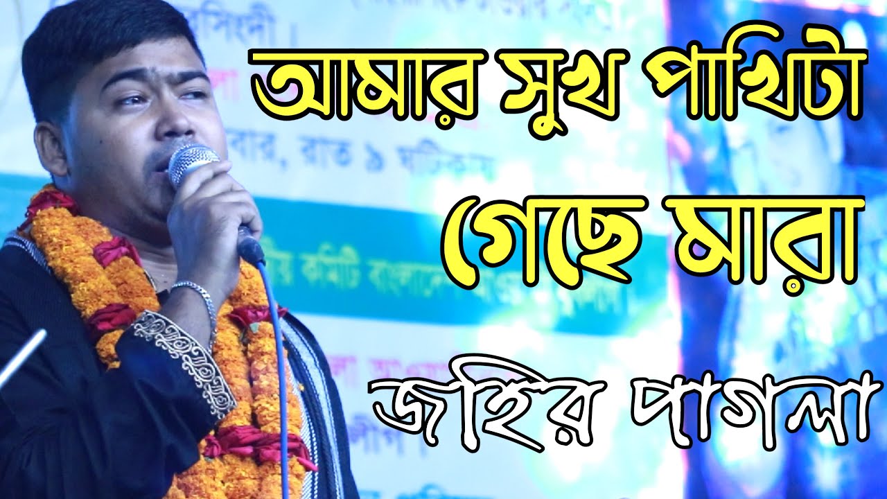 অনেক কষ্টের একটা গান। সুখ পাখিটা গেছে মারা । জহির পাগলা Bangla new Baul Song 2021 Singer Johir Pagla