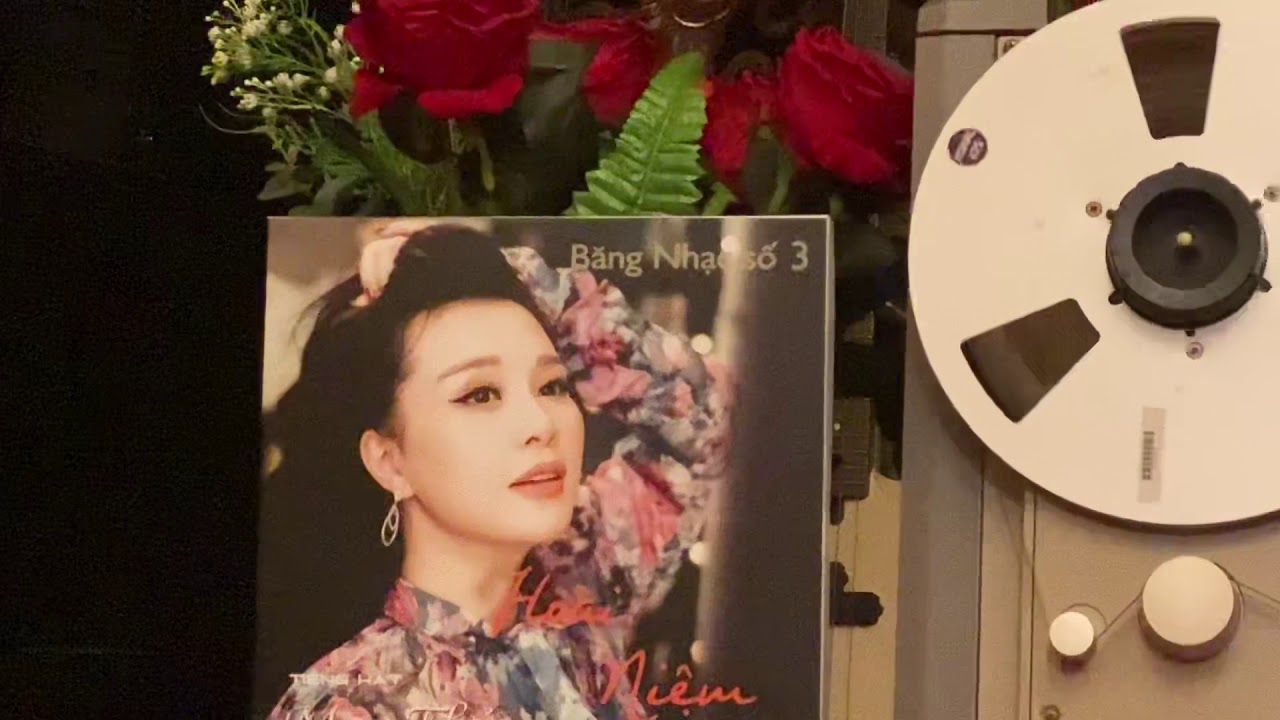 Nếu đời không có anh_Mạc Thuỷ (Hoài niệm 3)