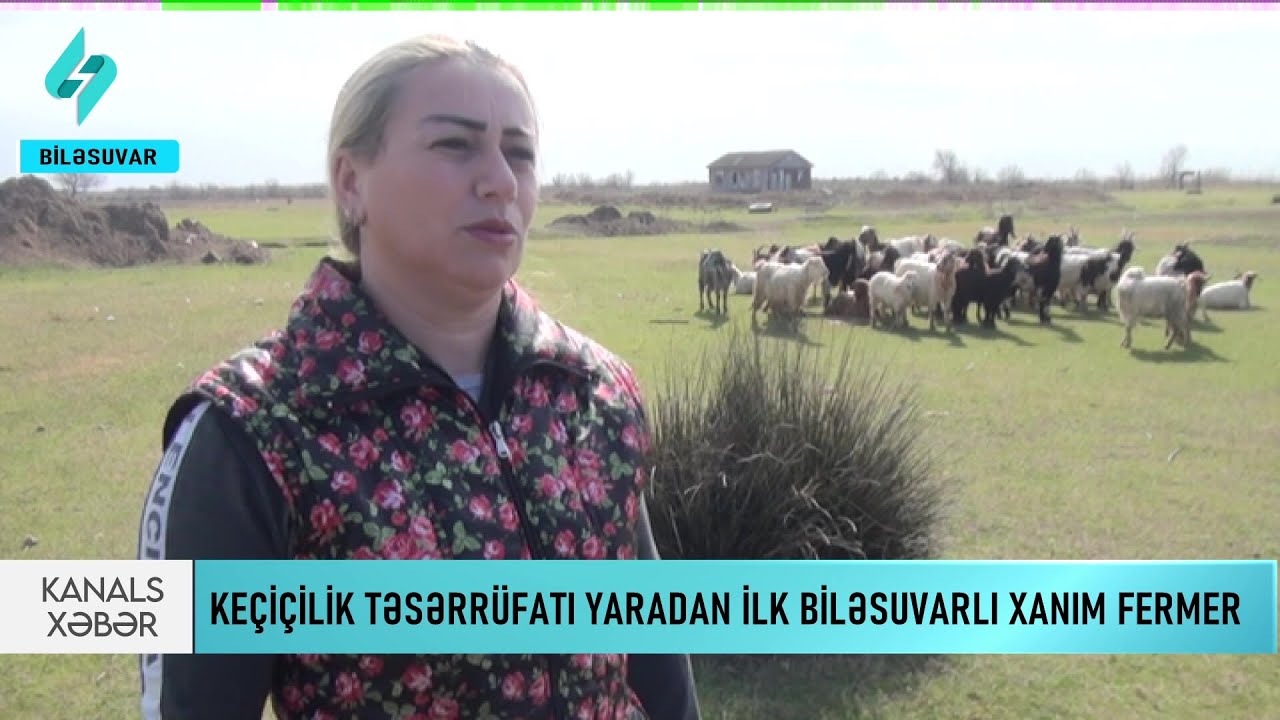 Bu xanım Biləsuvarda ilk dəfə keçi təsərrüfatı yaradıb