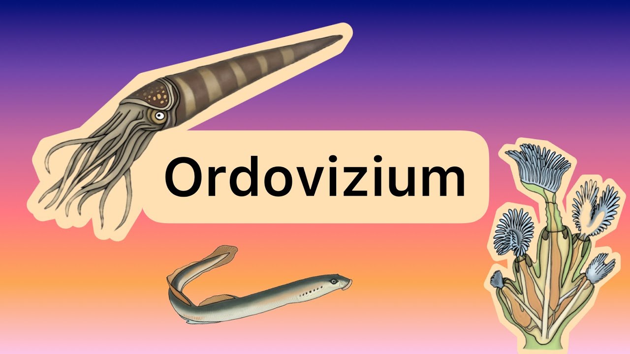 Das Ordovizium (Pal&auml;ozoikum Teil 2)