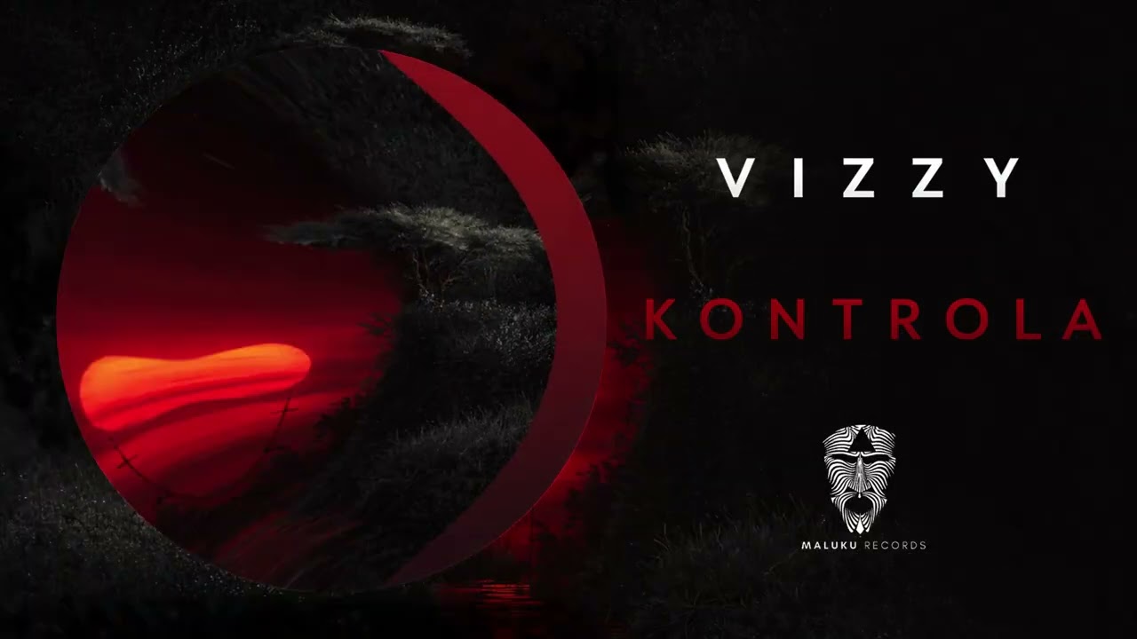 VIZZY - KONTROLA