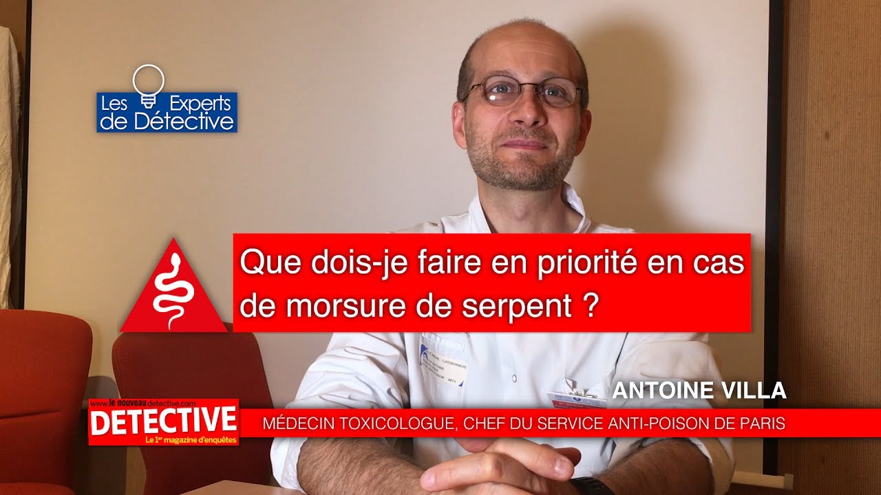 Que dois-je faire en priorité en cas de morsure de serpent ?