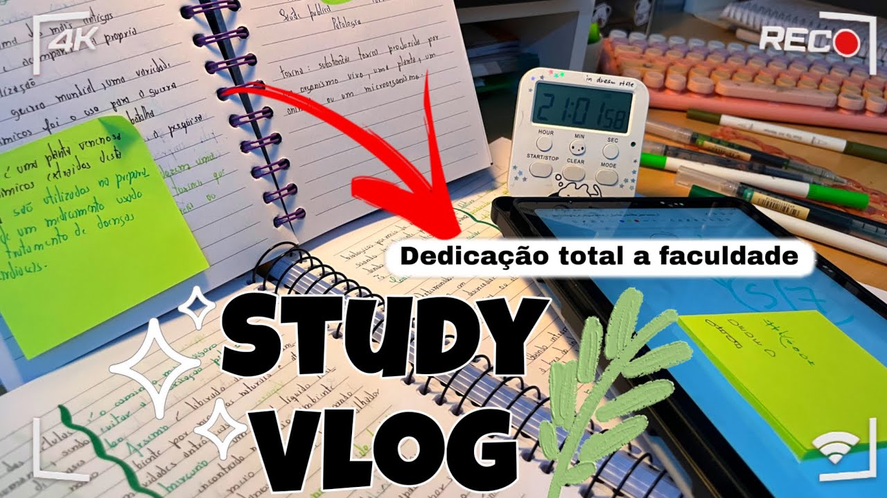 Study Vlog (Dedicação total a faculdade) 🌱✨ #study 