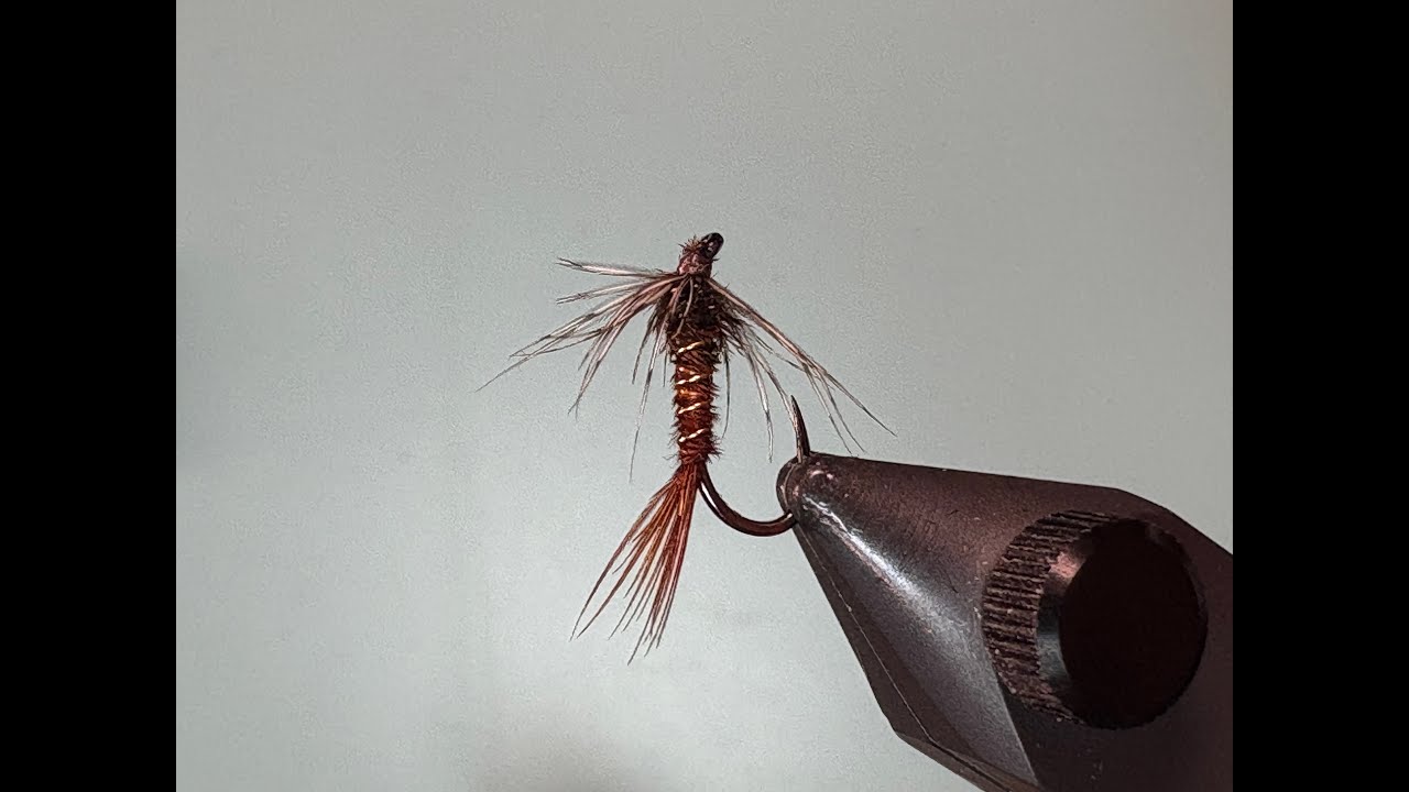 Fly Tying a Pheasant Tail Soft Hackle
