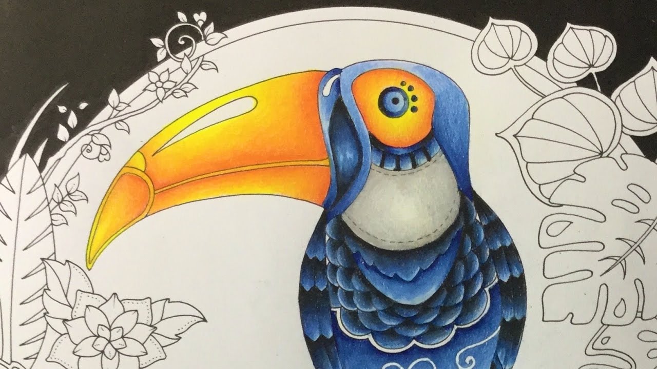 MAGICAL JUNGLE by Johanna Basford - prismacolor pencils - color along part 1