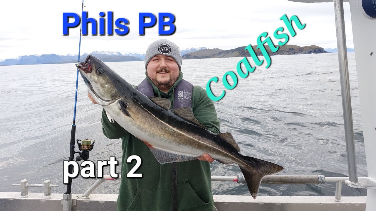 SANDLAND BRYGGE Northern Norway, pb coalfish @jcmanglingadventures
