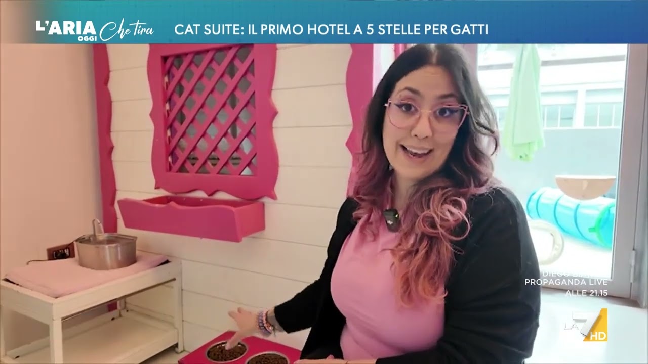 Cat suite: il primo hotel a 5 stelle per gatti