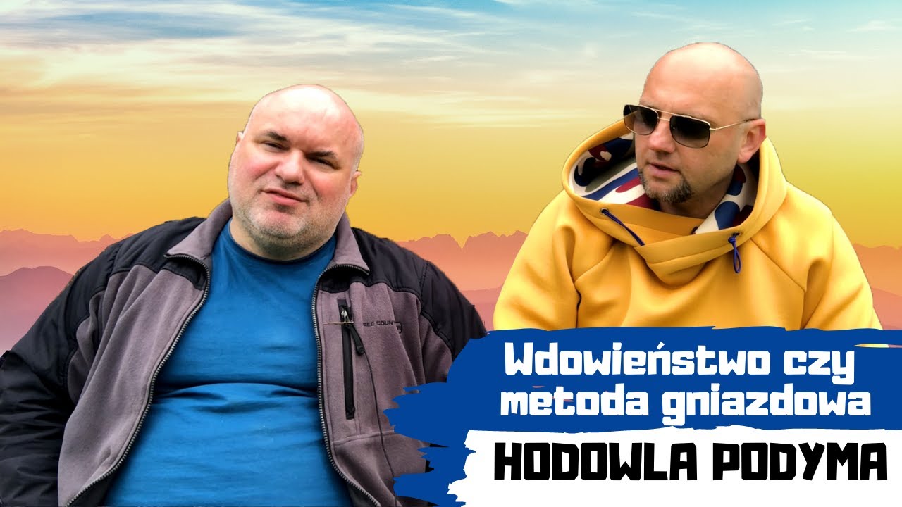 Wdowieństwo czy metoda gniazdowa? | Hodowla Podyma