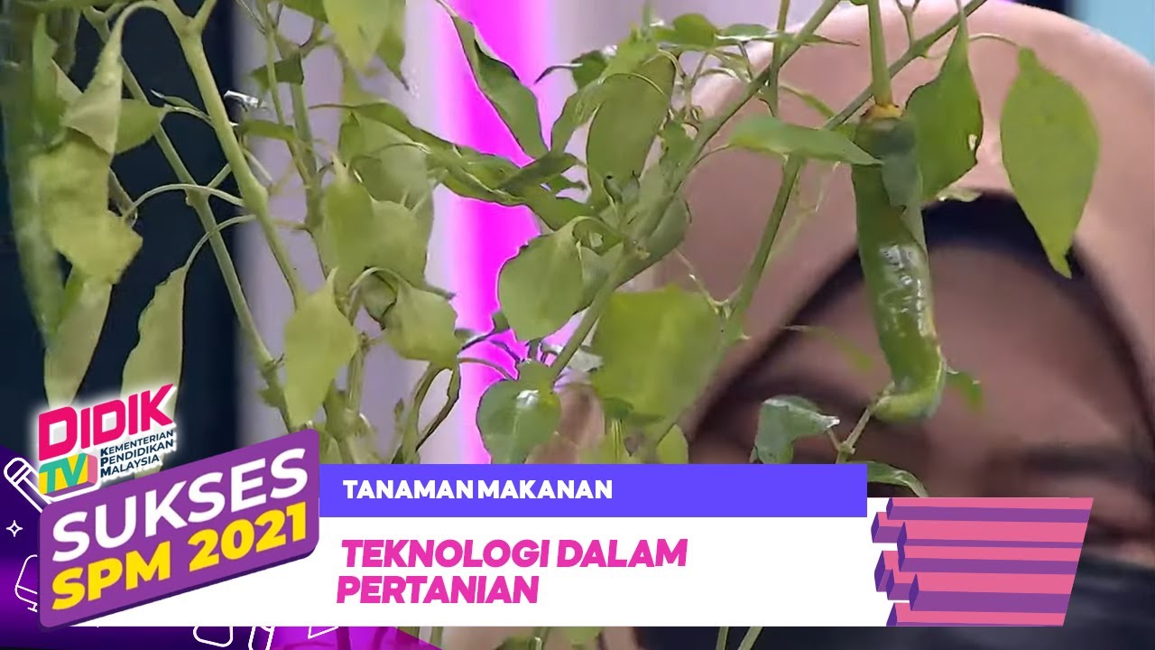 Sukses SPM (2021) | Tanaman Makanan - Teknologi Dalam Pertanian