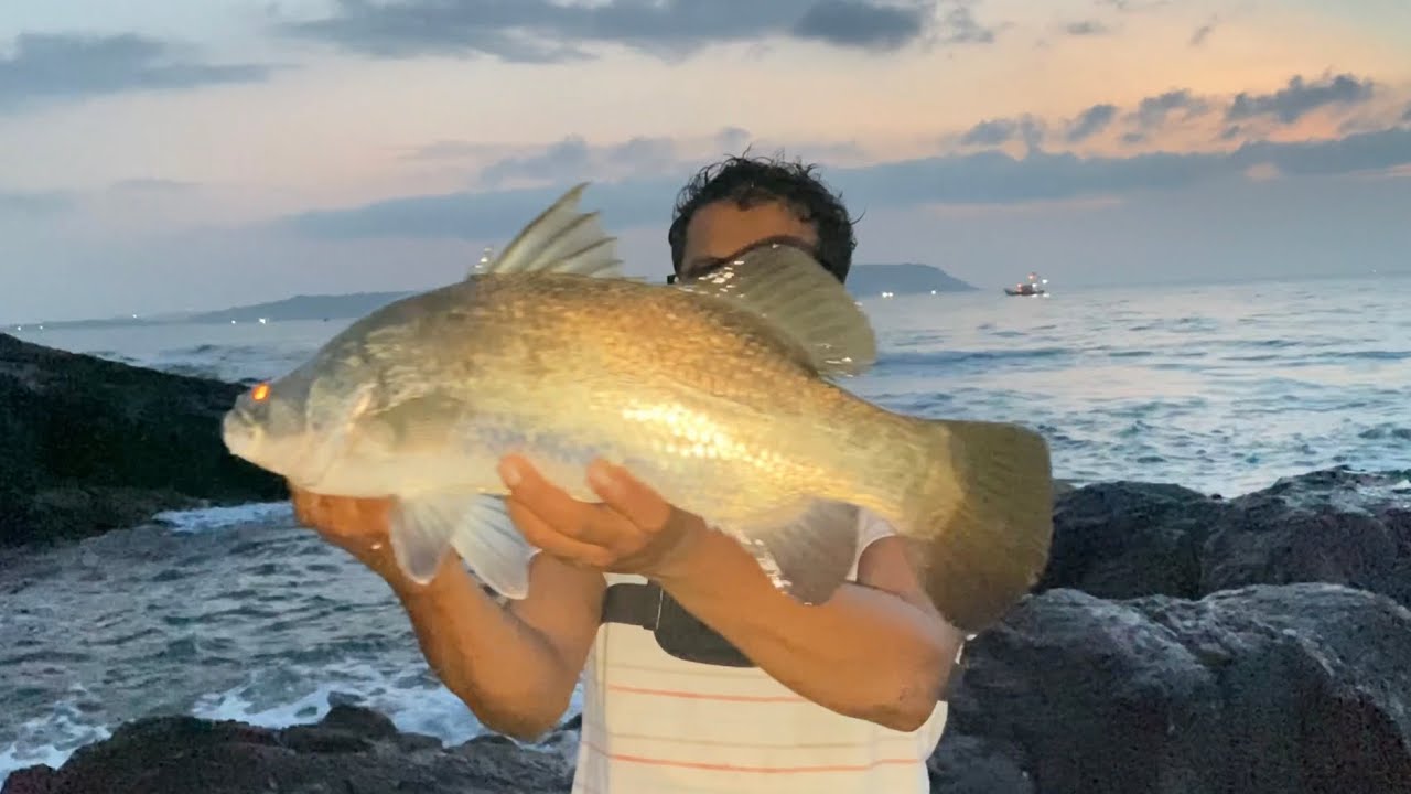 Best hard lures for Barramundi #lucana FALCAN 120 hard lure सर्वोत्कृष्ट कानय फिश हार्ड ल्यूर