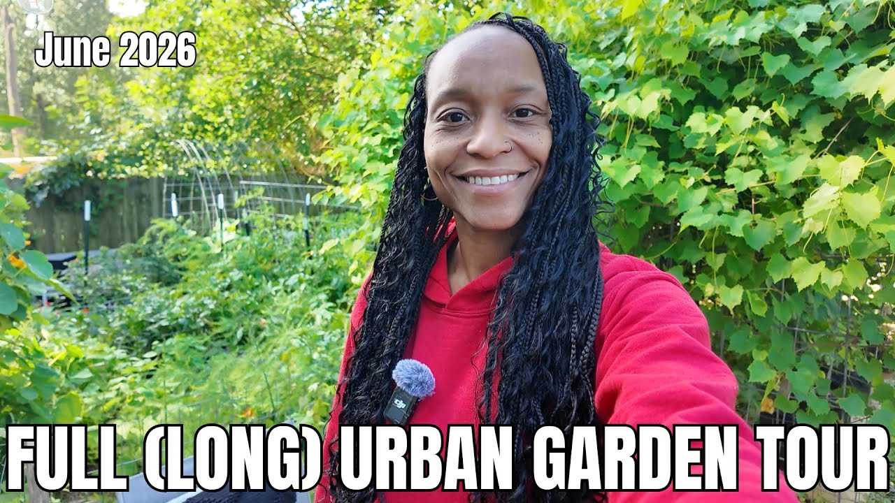 Full Urban Backyard Garden Tour | June 2026 | Virginia, Zone 7B
