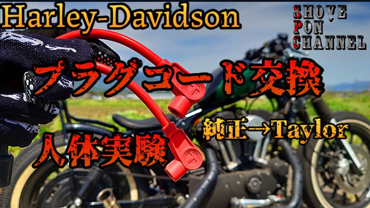 【スポーツスター】テイラープラグコードなんてどうせオシャレなだけでしょ？実験したらわかるからね？【カスタム】