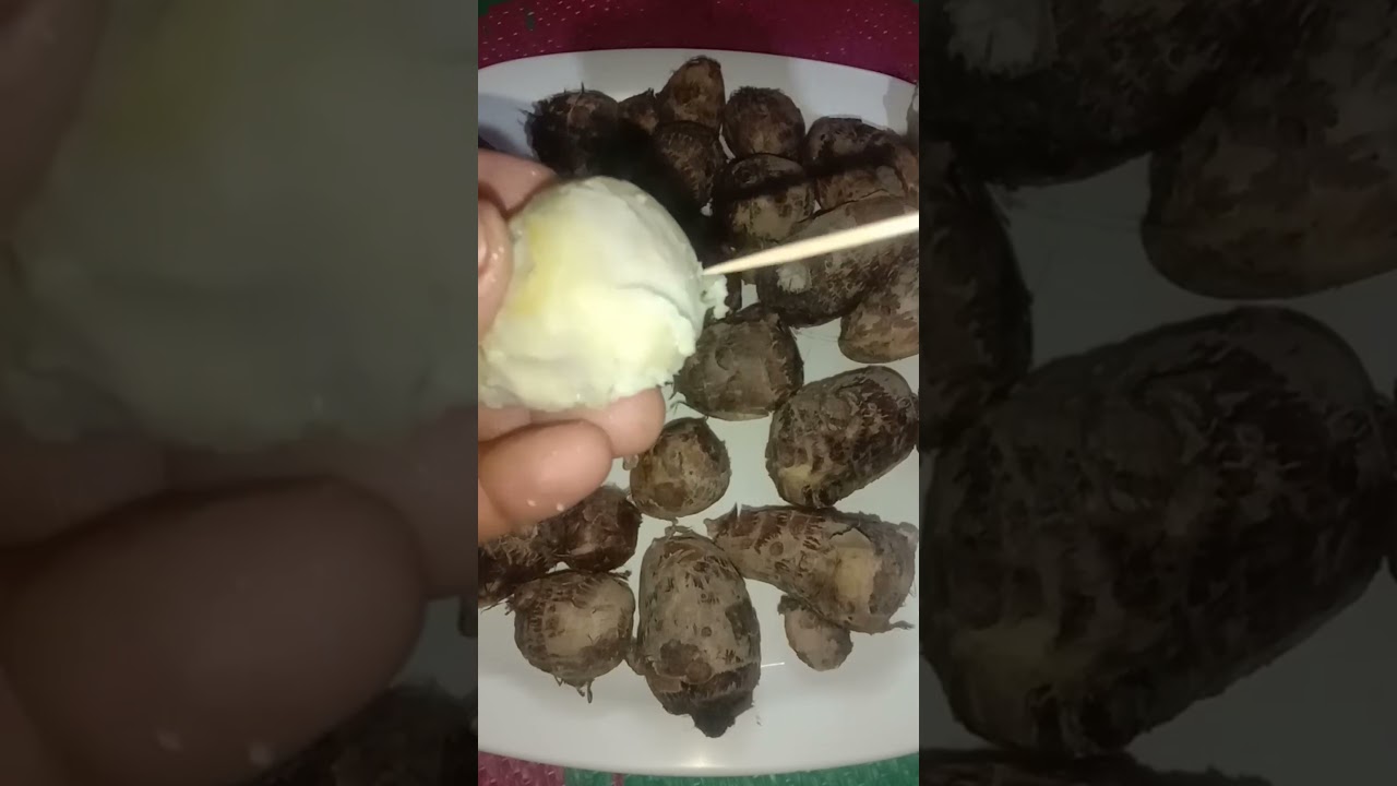 Boil Pidaalu / #shorts Nepali style food recipe #shortsviral #viralvideo #youtubeshorts #cookatura
