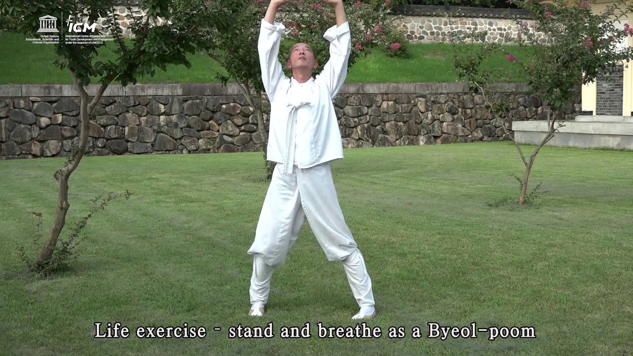 Taekkyeon tutorial(Beginner)