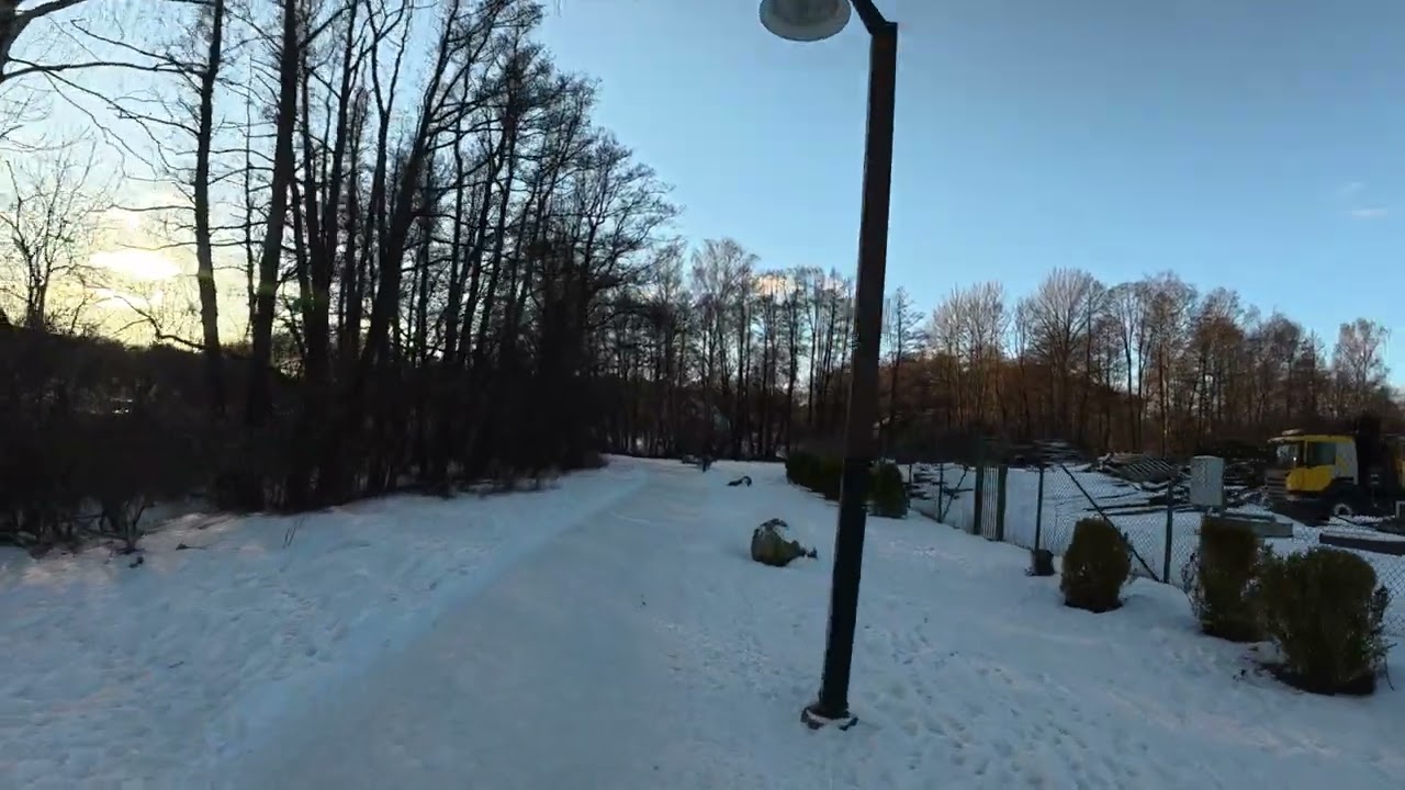 Norra Djurgården run   3 Feb 2026