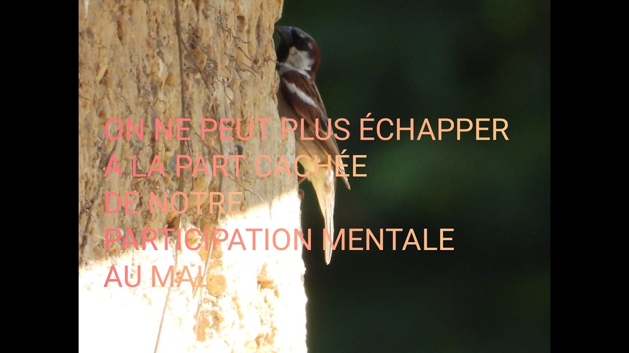 EN CETTE FIN DES TEMPS APPARAIT LA PARTIE IRASCIBLE (CONTRE TOUT) CACHE DANS NOTRE MENTAL