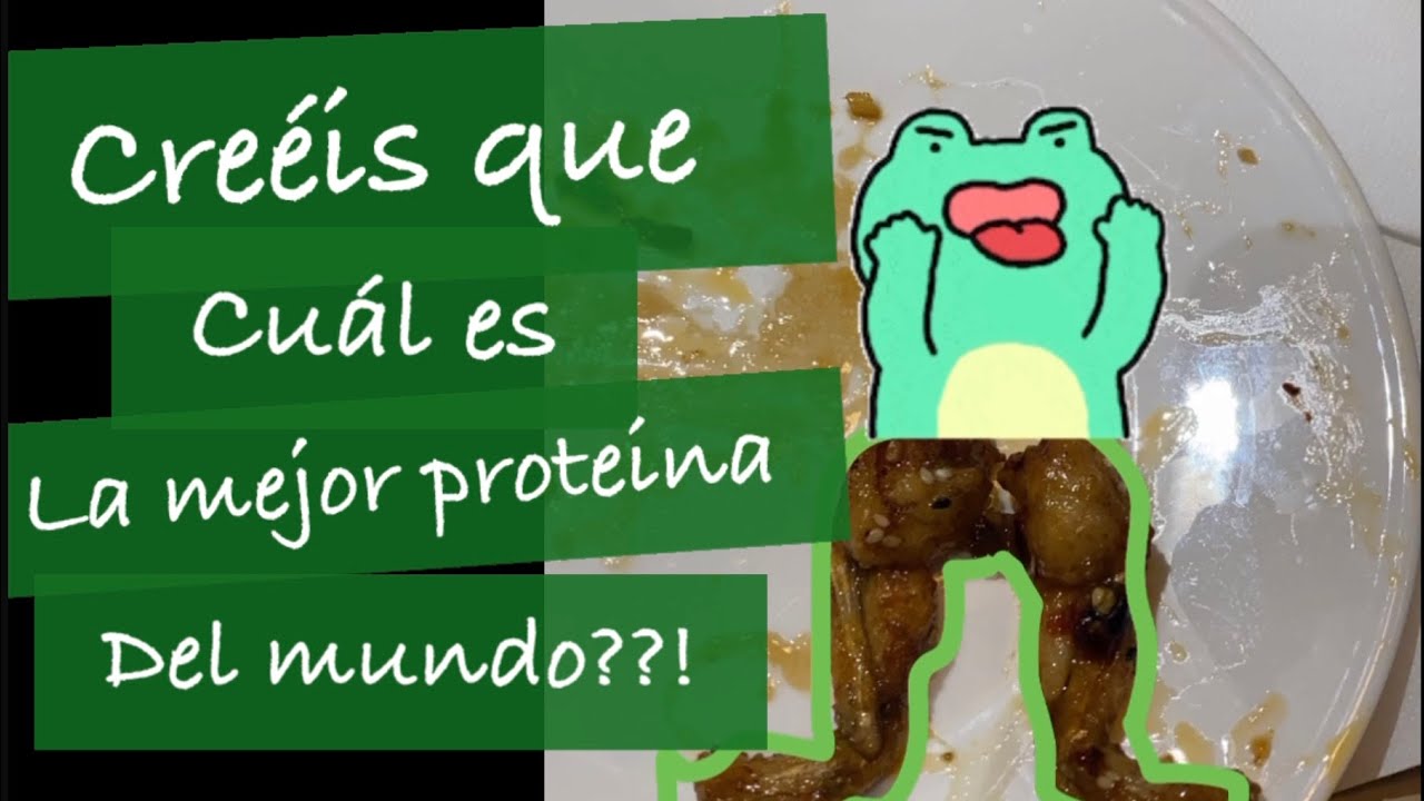 [Mukbang #2] Cuál creéis que es la mejor proteína del mundo🐸🐸🐸 최고의단백질은 몰까? ㅎㅅㅎ
