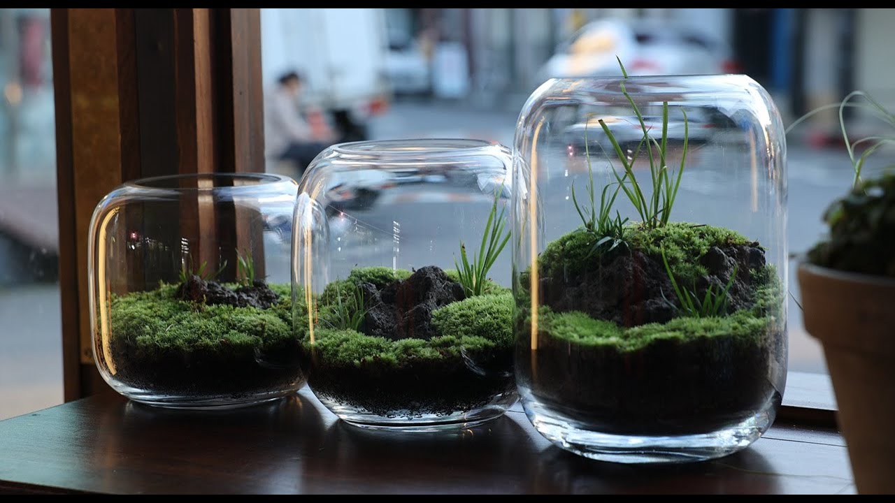 심심해서 만든 이끼 테라리움  | Moss terrarium made out of boredom
