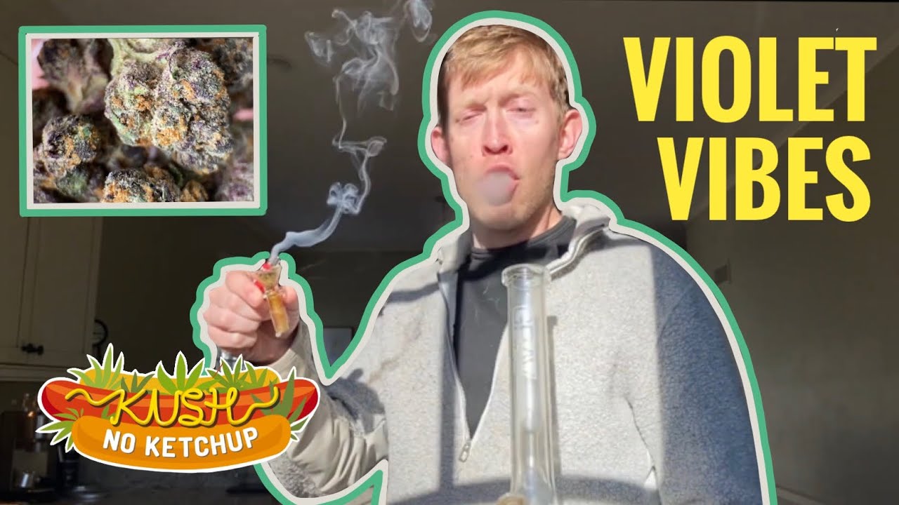 Violet Vibes Strain Review |  KUSH NO KETCHUP