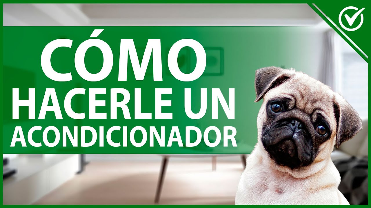 🐶 Cómo Hacer Acondicionador Casero Para Perros | Recetas Fáciles y Rápidas 🧴🐶
