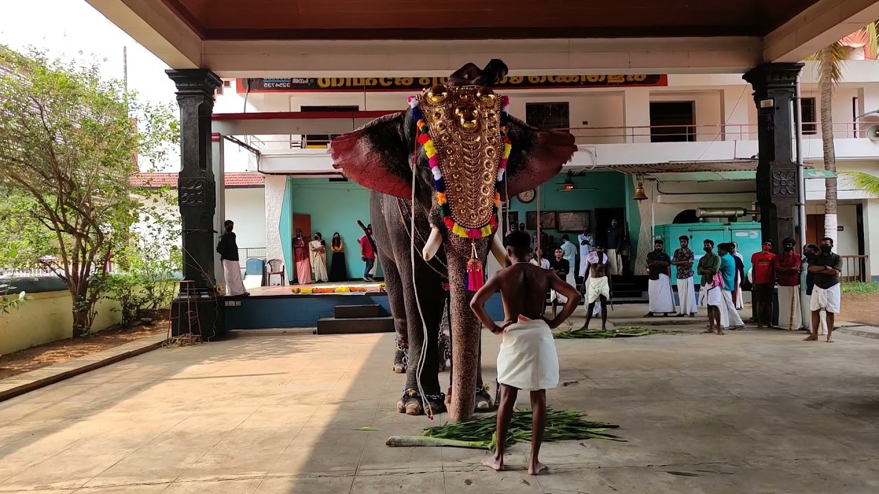 ഒളരിക്കര കാളിദാസൻ മാമ്പിയുമൊത്തു ആദ്യ പരുപാടി - Part 01