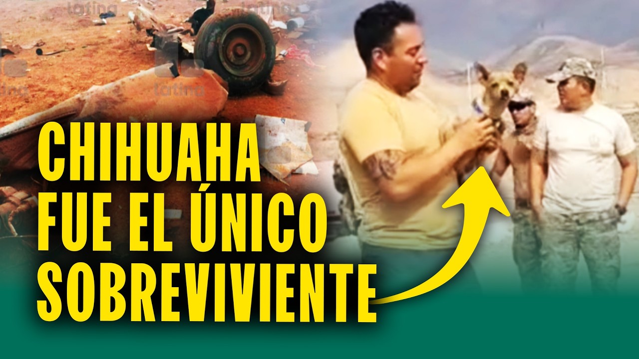 Milagro en tragedia aérea: Chihuahua se aferró a su dueño y sobrevivió a caída de helicóptero