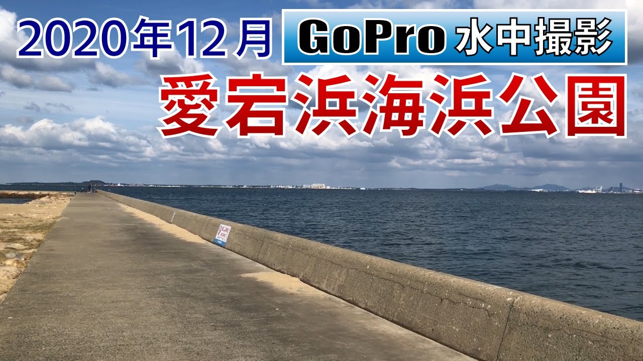 愛宕浜海浜公園でGoPro沈めてみた