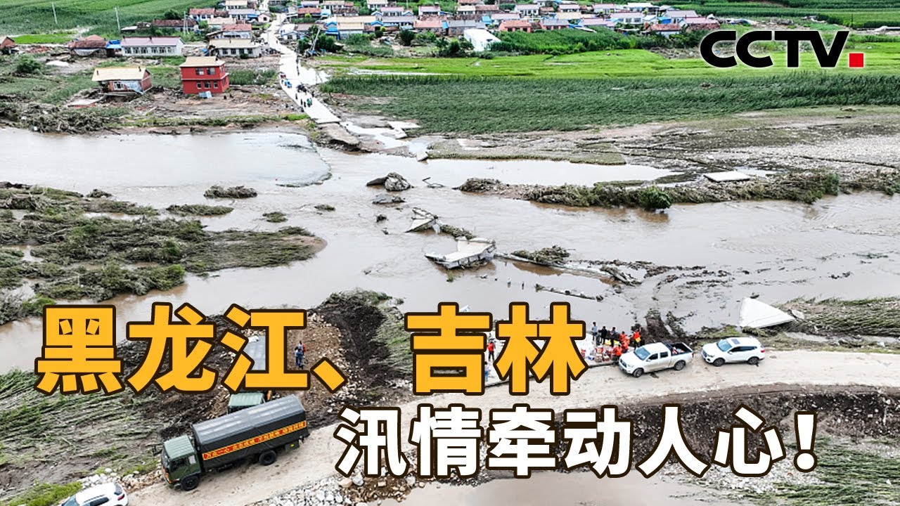 关注黑龙江、吉林，汛情的应对！松花江流域如何应对洪水压力？为何东北五常舒兰等地受灾严重？| CCTV「新闻1+1」20230808
