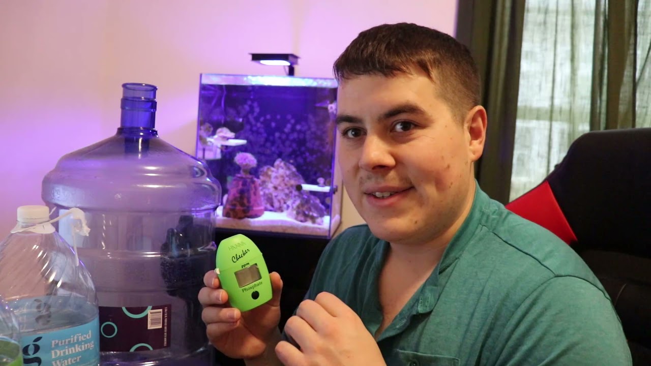 Can you use grocery store water in your reef tank?
