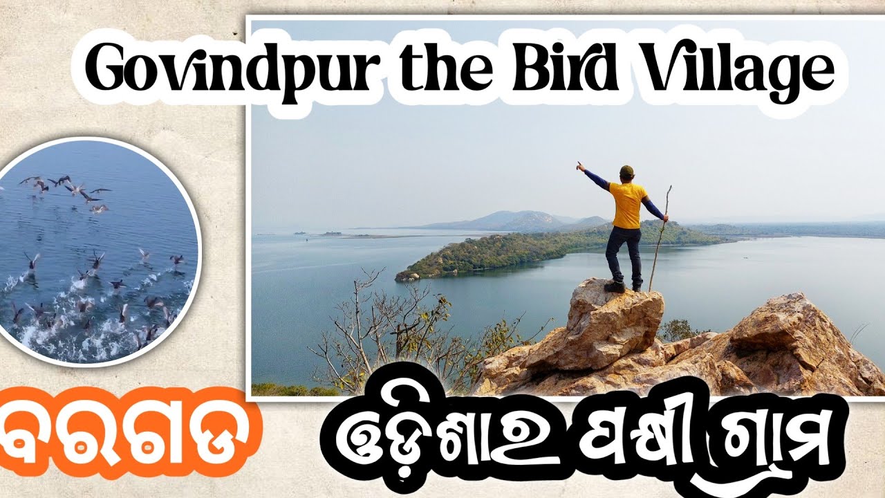 Birds Village, Govindpur: ପକ୍ଷୀ ଗାଁ ଗୋବିନ୍ଦପୁରନେ ଠୋଲ୍ ହେସନ୍ ବିଦେଶୀ ପକ୍ଷୀ... ସବୁଆଡ଼ୁ ଦେଖି ଆଏସନ୍ ଲୋକ୍