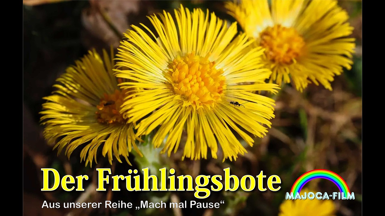 DER FRÜHLINGSBOTE