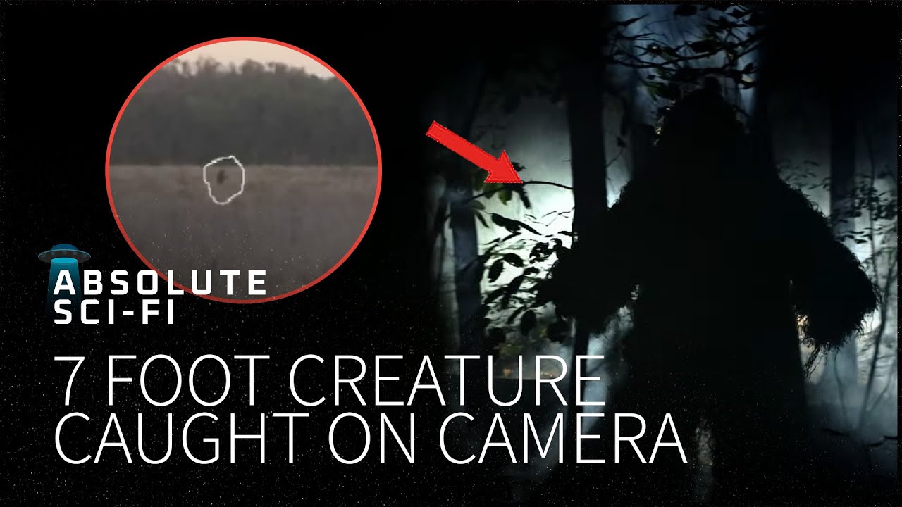 The REAL Florida Skunk Ape Caught on Camera