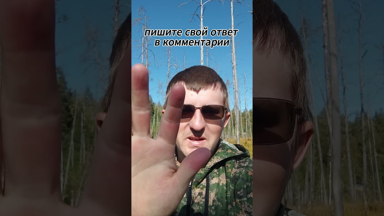 Как выглядят экскременты (помёт) животного лось описание, фото. Кто знает ответ пишите в комментарии