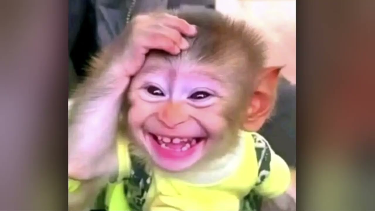 reacting to dumb comments and screenshots