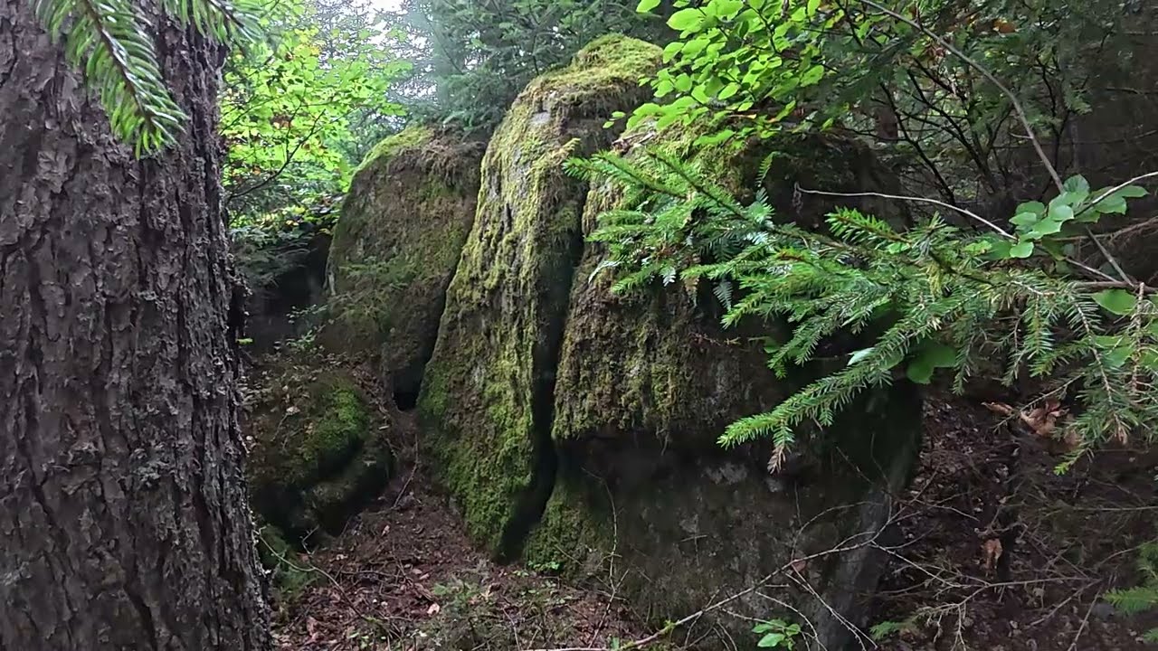 Mystische Felsformation mitten im Wald!