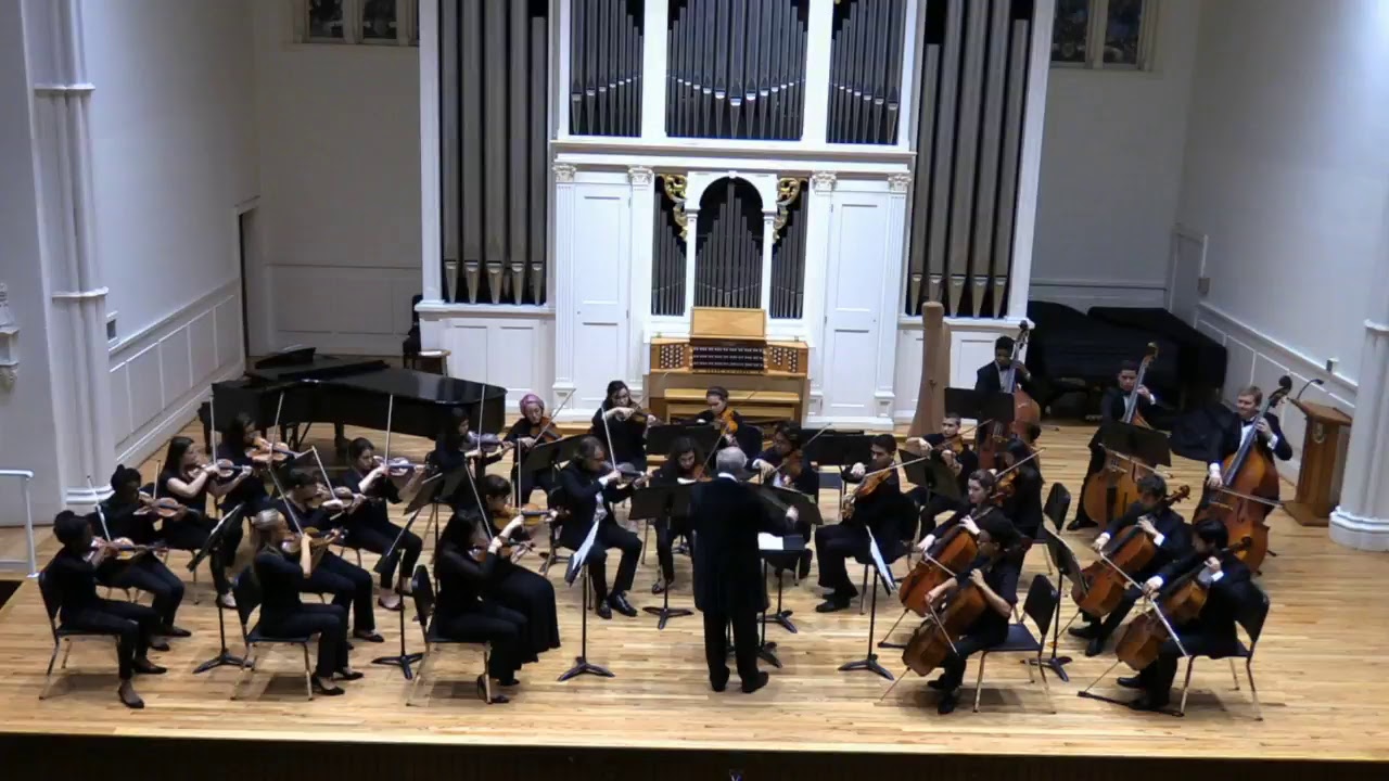 Chamber Orchestra