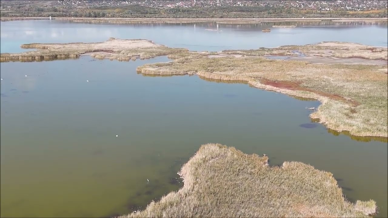 Velencei - t&oacute; G&aacute;rdony.