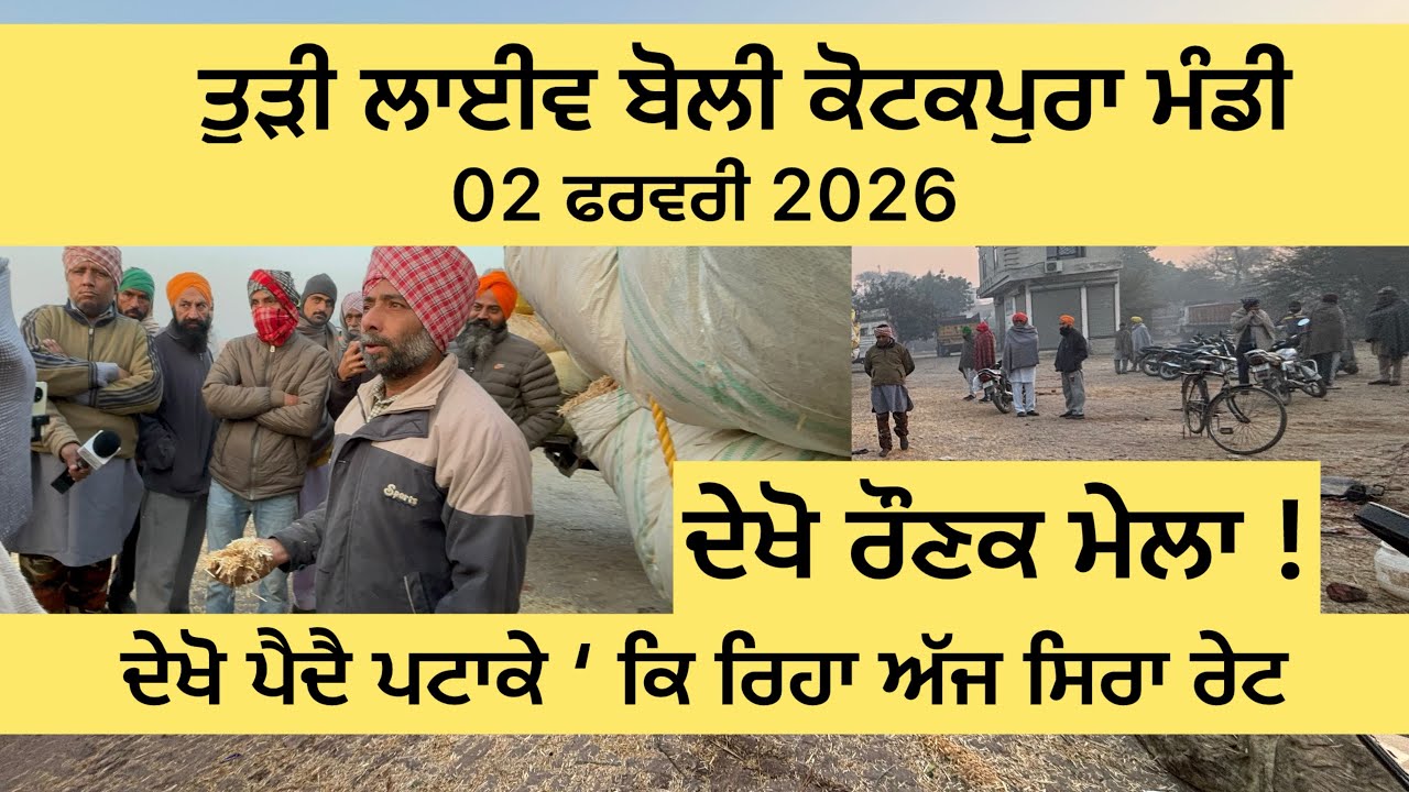 ਤੂੜੀ ਦੀ ਬੋਲੀ 02 ਫਰਵਰੀ 2026 | ਅੱਜ ਦਾ ਤੋੜੀ ਰੇਟ 🤑| kotkpura         #TodiRate #Kotkapura #farmernewser