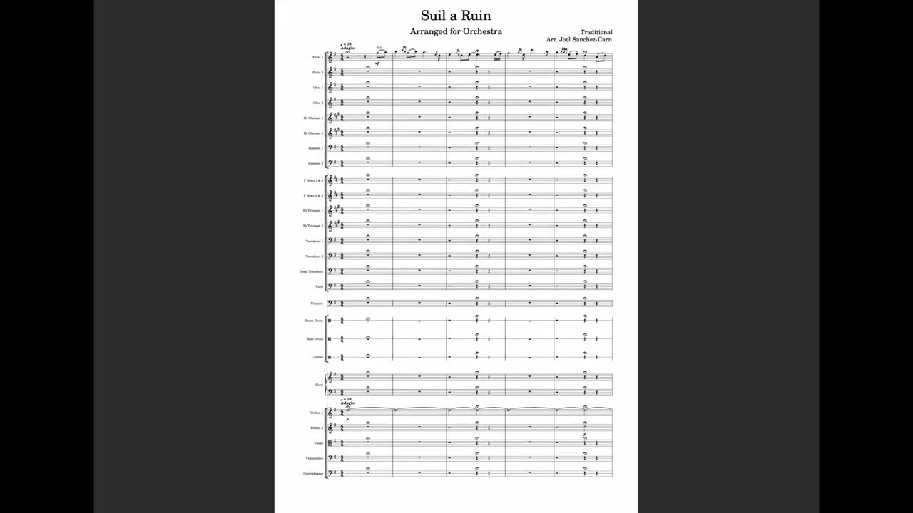 Suil a Ruin (for Symphony Orchestra) - Joel Sanchez-Carn