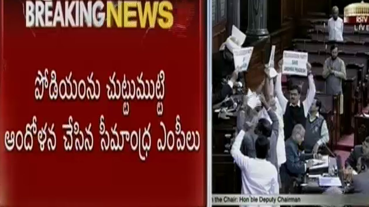 Seemandhra MPs Agitations Rock Lok Sabha
