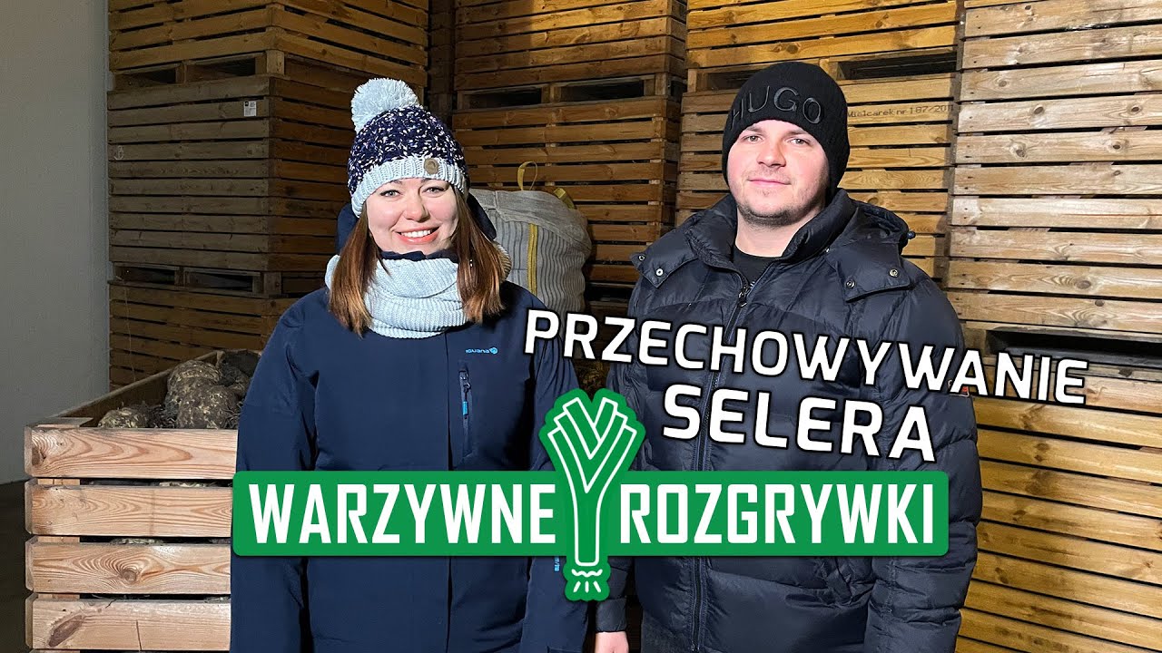 Przechowywanie selera - warzywne rozgrywki