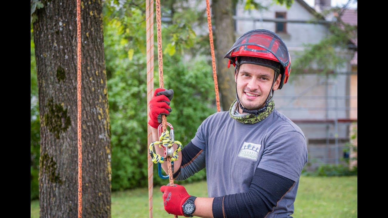 TUESI.LV | Ģirts Vitkovskis - arborists