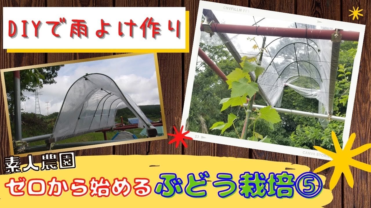 【素人農園】⑤ゼロから始めるブドウ栽培　～防除＆雨よけ～