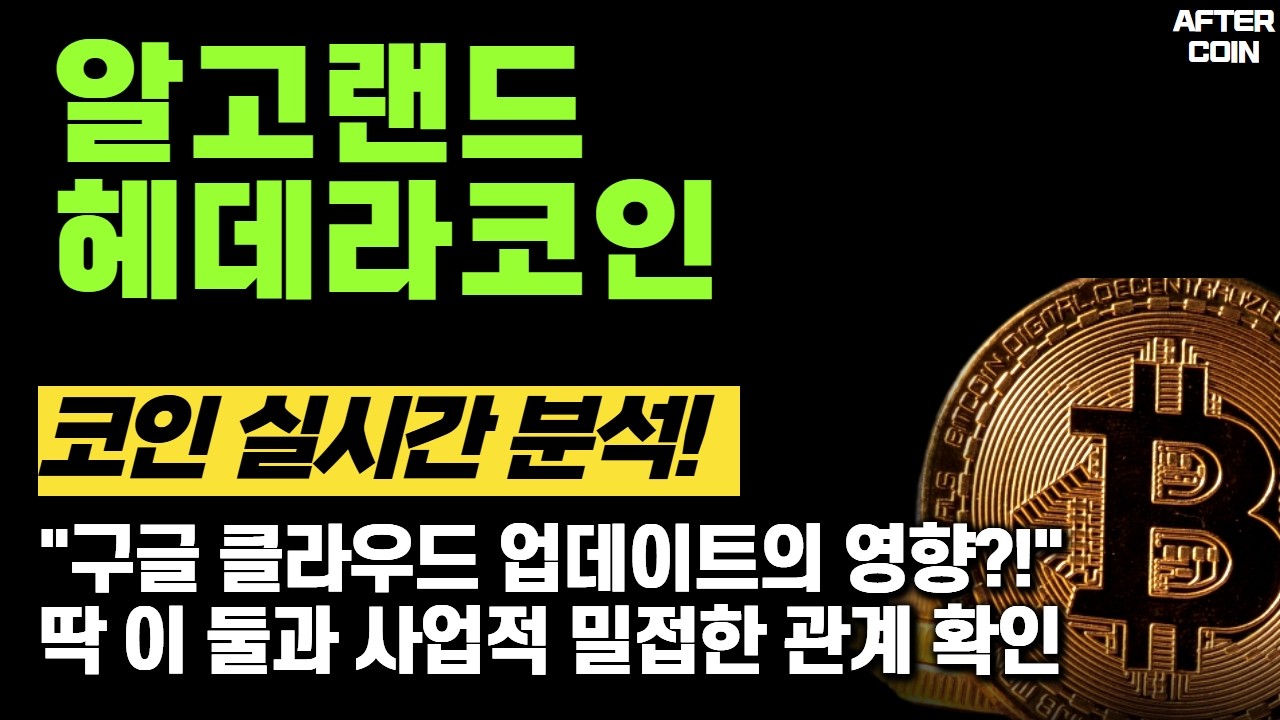 [알고랜드/헤데라 코인] 