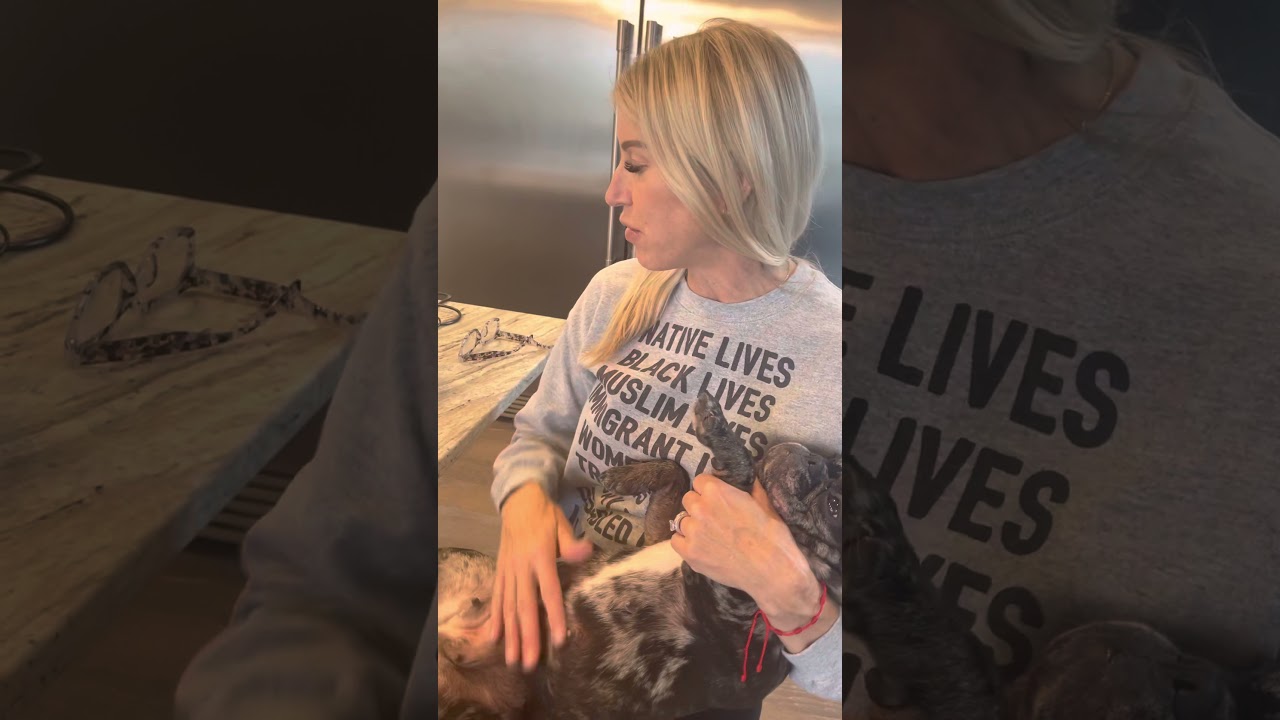 How to ULTRASOUND your Female Dog!