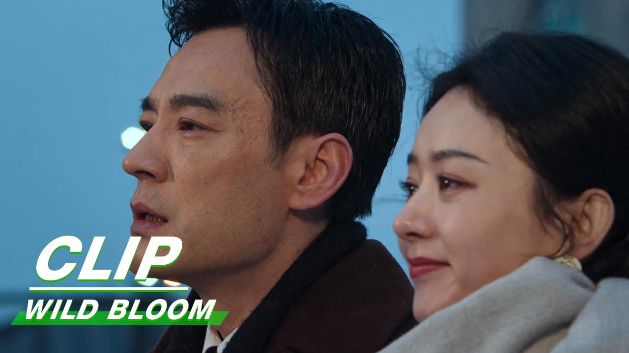 Banxia Breaks Up with ZhaoLei | Wild Bloom EP28 | 风吹半夏 | iQIYI