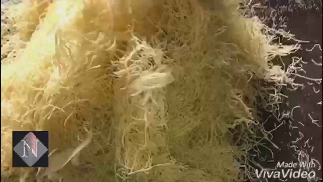 NYLON SEV MACHINE