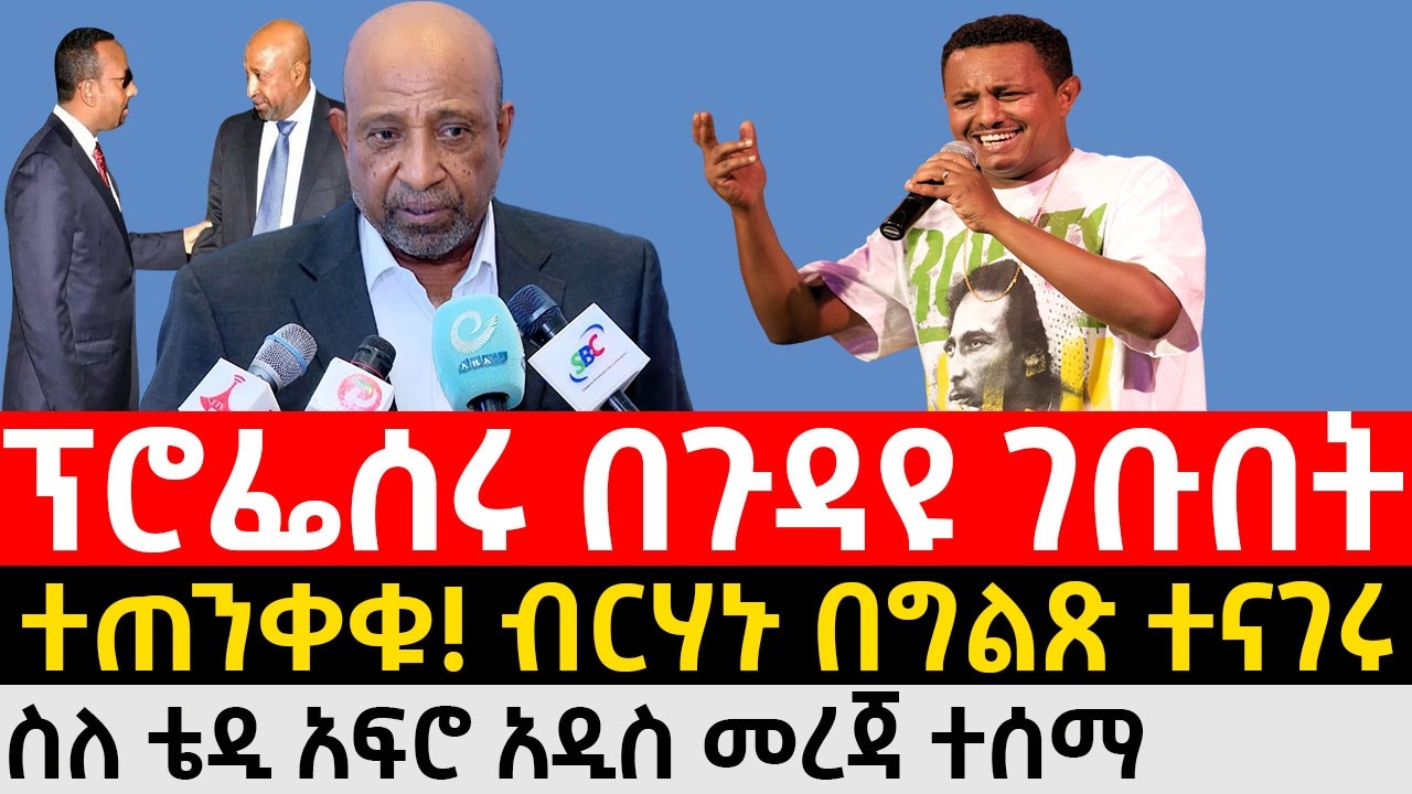 ፕሮፌሰር ብርሃኑ ነጋ በጉዳዩ ገቡበት ߊ ተጠንቀቁ! በግልጽ ተናገሩ ߊ Prof. Berhanu Nega on Teddy Afro ߊ Ethiorica ߊ Ethiopia