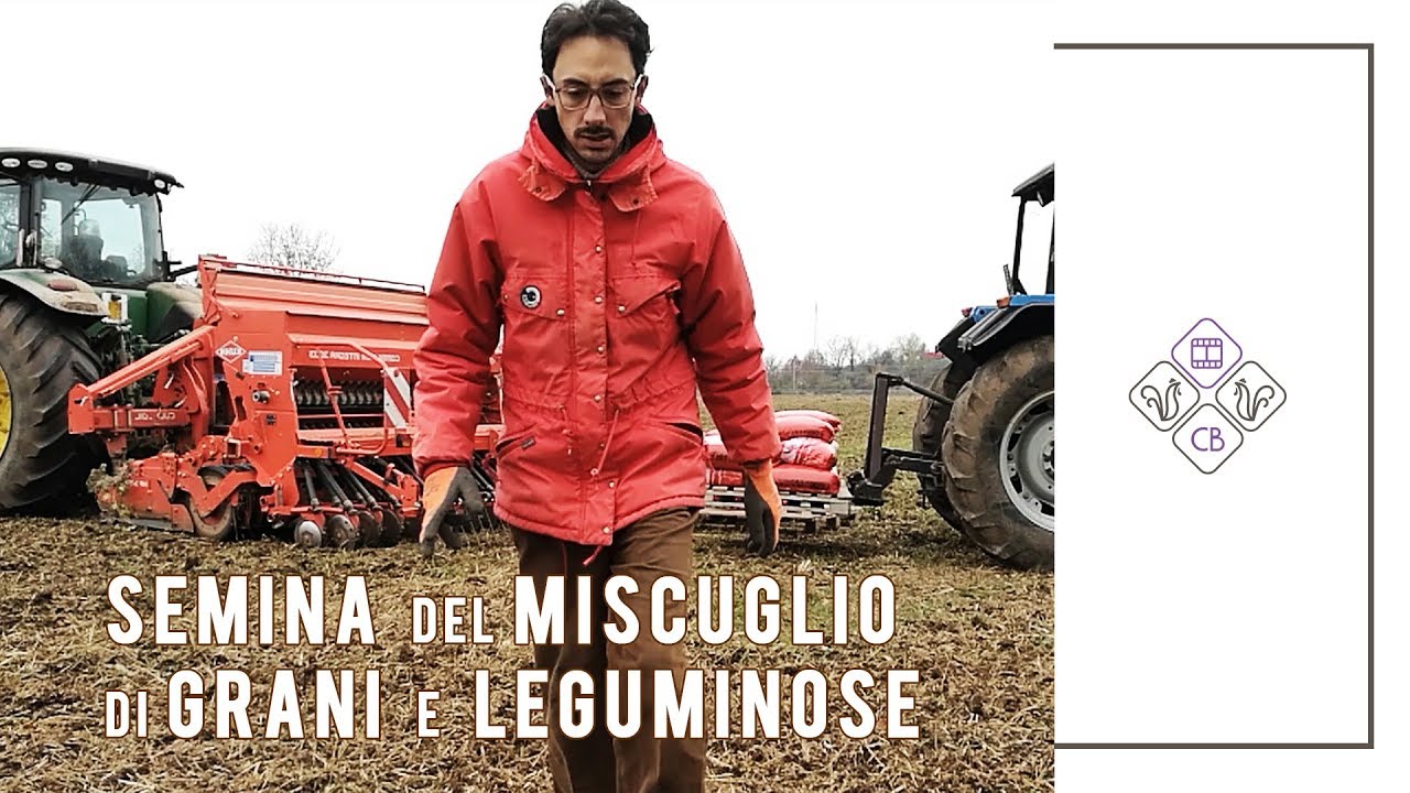 SEMINA GRANI ANTICHI e LEGUMINOSE | Una nuova annata agraria