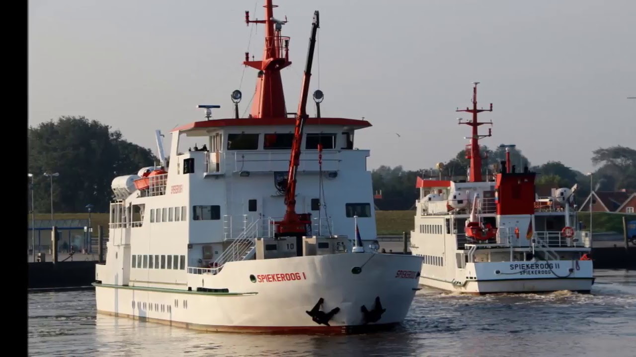 Stellplatz - Wohnmobilstellplatz Neuharlingersiel - Campen am Weltnaturerbe Wattenmeer